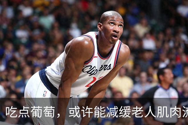 吃点葡萄，或许能减缓老人肌肉流失！